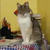 Отзыв от Зоя Ширяева